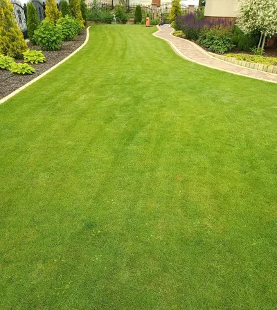 Profesjonalne usługi ogrodnicze TomOgród